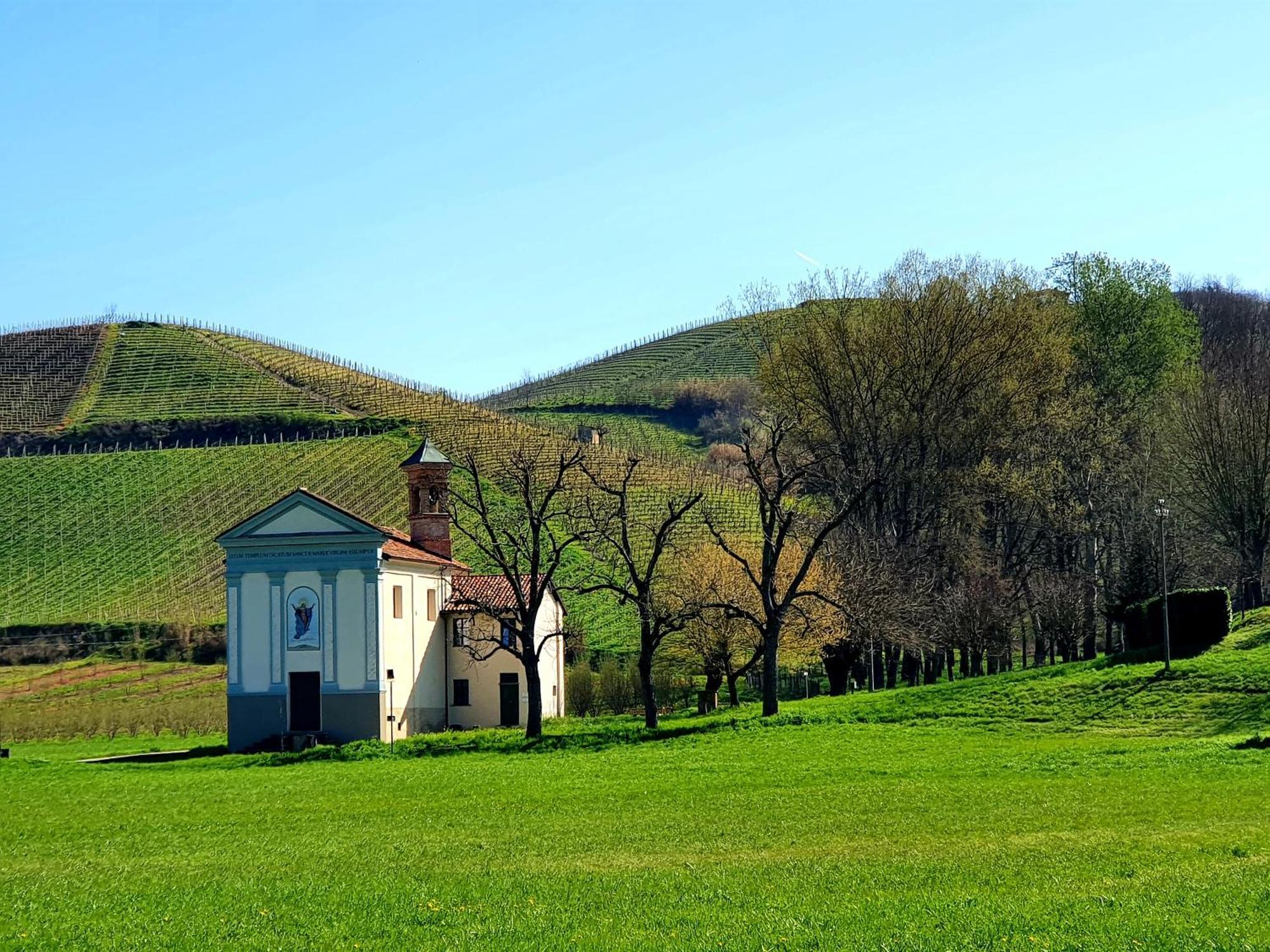 Oasi Del Monferrato - Appartamento Rosso Mombercelli Kültér fotó